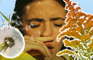 Rising Pollen Levels and Seasonal Allergies