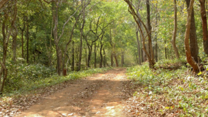 From Red Corridor to New Dawn: India’s Post-LWE (Left Wing Extremism) Transformation