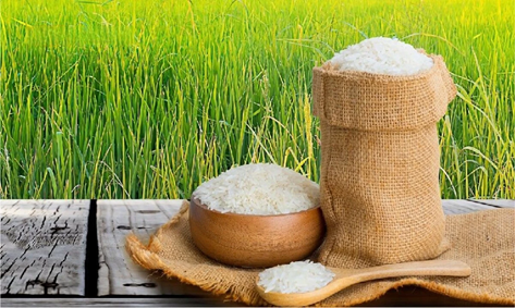 India’s Rice Export Landscape