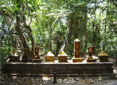 Kerala’s Sacred Grove Restoration Project