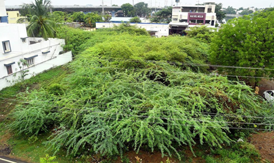 India’s First Green Methanol Plant