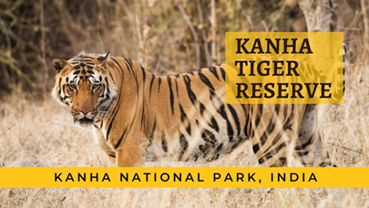Kanha Tiger Reserve