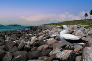 Abrolhos Marine National Park