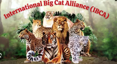 International Big Cat Alliance (IBCA): India’s Global Conservation Leadership