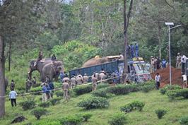 Managing Human–Wildlife Conflict through Coexistence and Sustainable Conservation