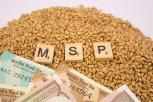 Minimum Support Price (MSP)