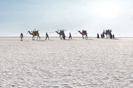 The Rann of Kutch: India’s Living Salt Desert