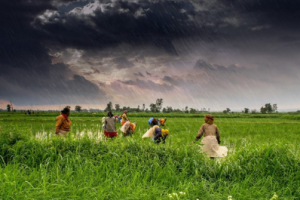 Monsoon Likely to Reach Kerala by May 26