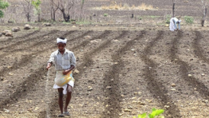 Improving Fertilizer Use Efficiency for Sustainable Agriculture in India