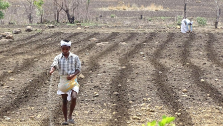 Improving Fertilizer Use Efficiency for Sustainable Agriculture in India