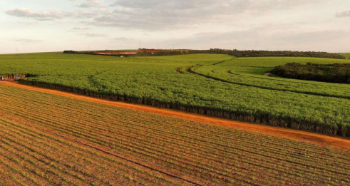 Decentralised Bioenergy Systems: Strengthening Domestic Energy Security
