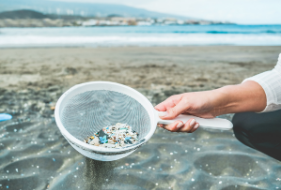 Nurdle Pollution