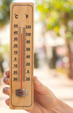 The Physics of Thermometers, Temperatures and Cold Atoms