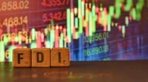 India's Gross-Net FDI Paradox: Evaluating Capital Repatriation and External Sector Sustainability
