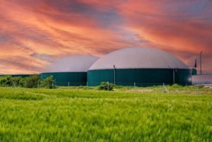 Compressed Biogas Blending Goals & Clean Energy Transition