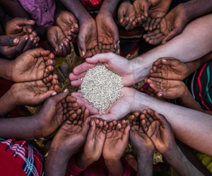 From Household to Individual: Overhauling Food Security Allocations