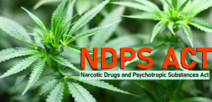 Amendments to the NDPS Act: Strengthening India's Fight Against Drug Trafficking