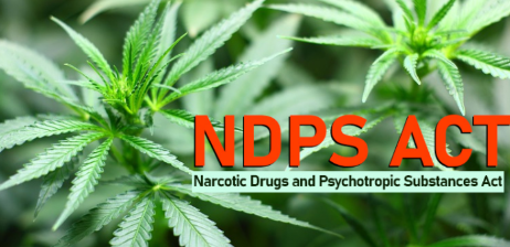 Amendments to the NDPS Act: Strengthening India's Fight Against Drug Trafficking
