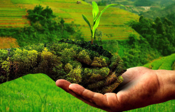 Himachal CM Urges Natural Farming in Bara Bhangal