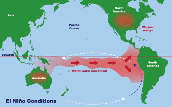 The Monsoon Gamble: Navigating El Niño's Shocks to India’s Agrarian Economy