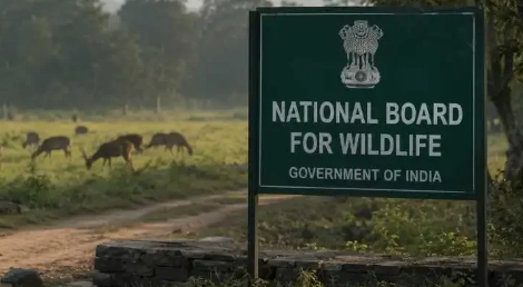PIL in Delhi High Court Challenges Functioning of National Board for Wildlife