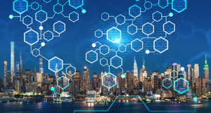 Wealth of Lacunae: Cybersecurity and Transparency in Critical Infrastructure