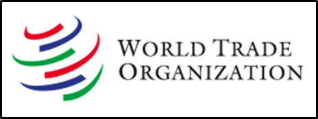 What is World Trade Organization (WTO)?