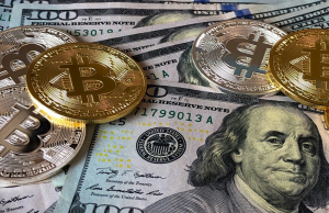 What are External Commercial Borrowings (ECBs)