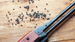 Pellet Guns in Focus: Understanding Technology and Its Use