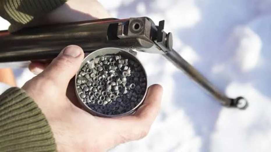 What are pellet guns?