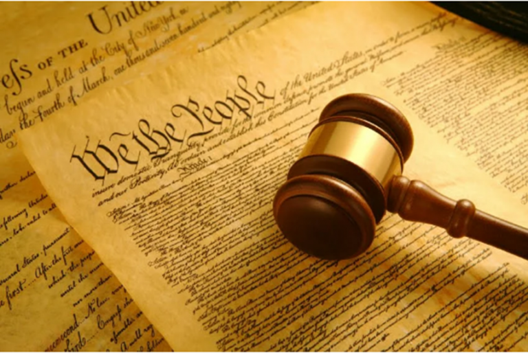 Democratic Dissent and Police Brutality: Ensuring Accountability under the Rule of Law