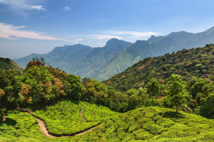 Centre Reissues Draft Notification on Western Ghats Eco-Sensitive Area (ESA)