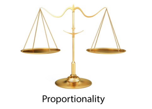 What is the Proportionality Principle?