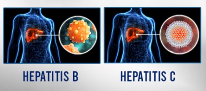 What is the difference between Hepatitis B and Hepatitis C?