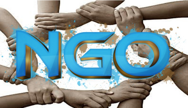 Non-Governmental Organizations (NGOs)