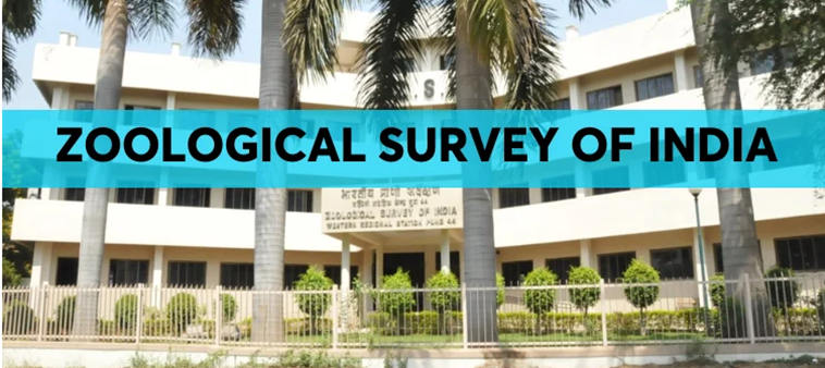 What is Zoological Survey of India (ZSI)