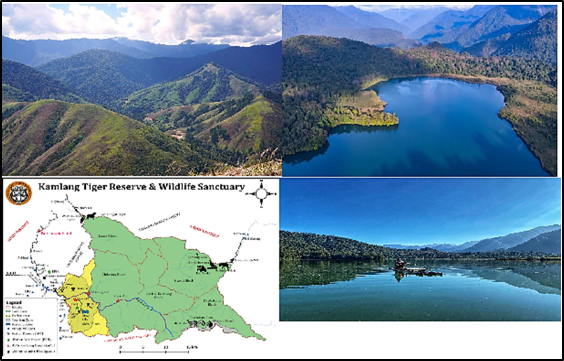 Where is Kamlang Tiger Reserve located?