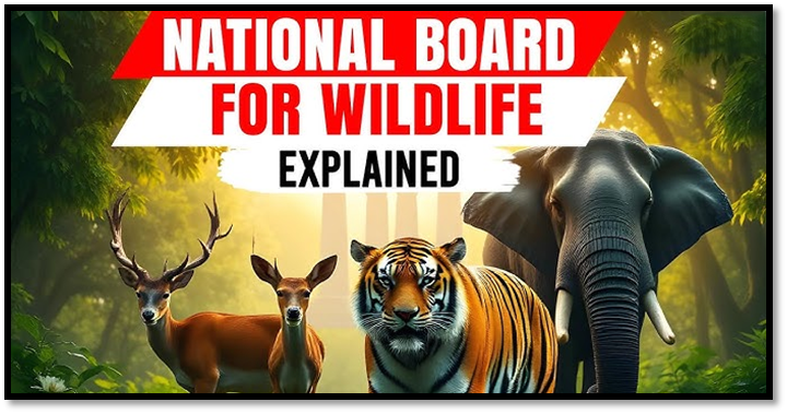 What is the National Board for Wildlife (NBWL)?