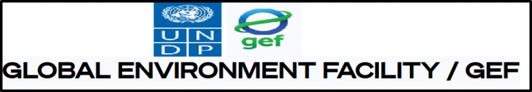 What is the Global Environment Facility (GEF)?