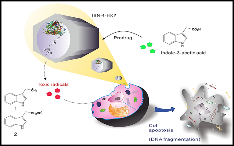 What is RK-251, the ‘Smart’ Cancer Drug?