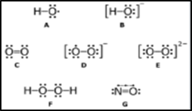 What are Reactive Oxygen Species (ROS)?