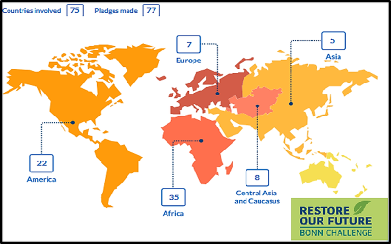 What is the Bonn Challenge?