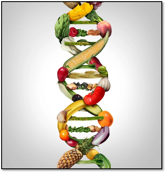 What is GM CROPS?