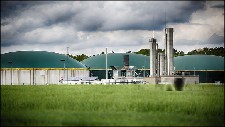 Feedstock Procurement: The Operational Backbone of the CBG Ecosystem