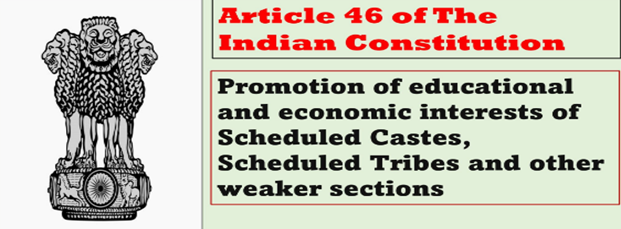 Article 46