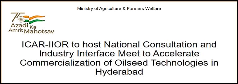 Oilseed Technology Commercialisation