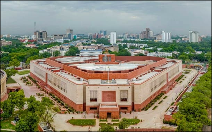 What are Department-Related Standing Committees (DRSCs)