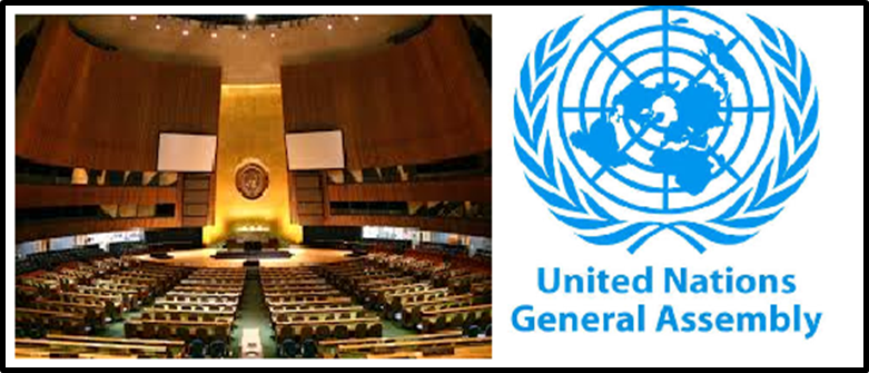 What is the United Nations General Assembly (UNGA)?