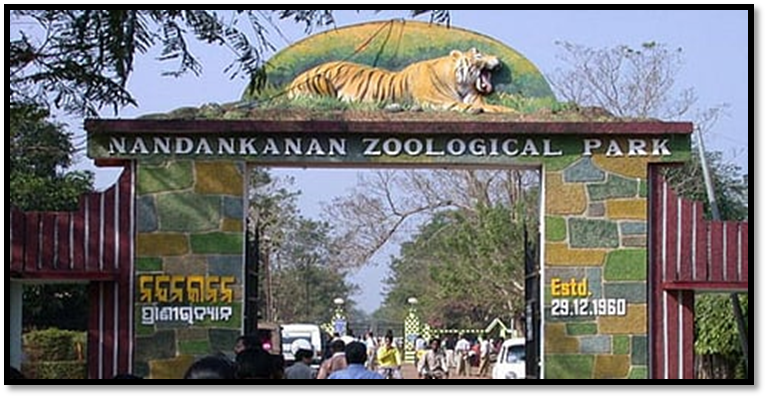 Where is Nandankanan Zoological Park?