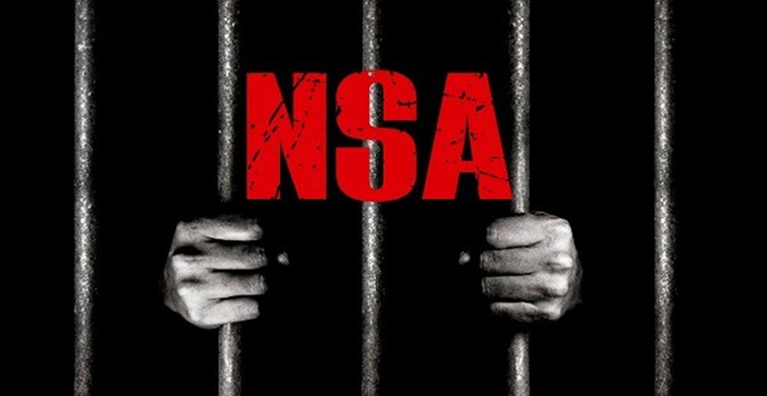 Balancing Sovereign Security and Personal Liberty: The Constitutional Dilemma of the NSA